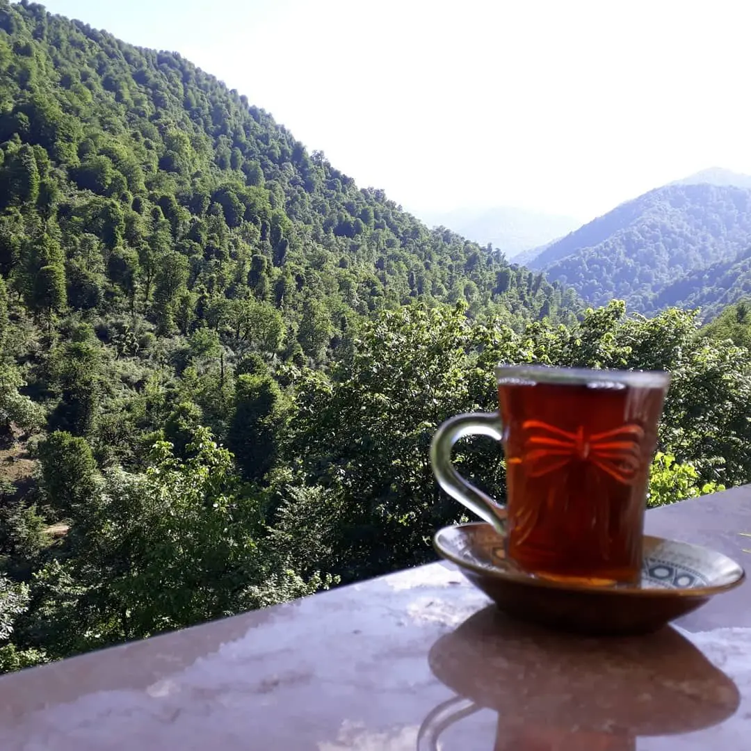اجاره ویلا در روستای شفت