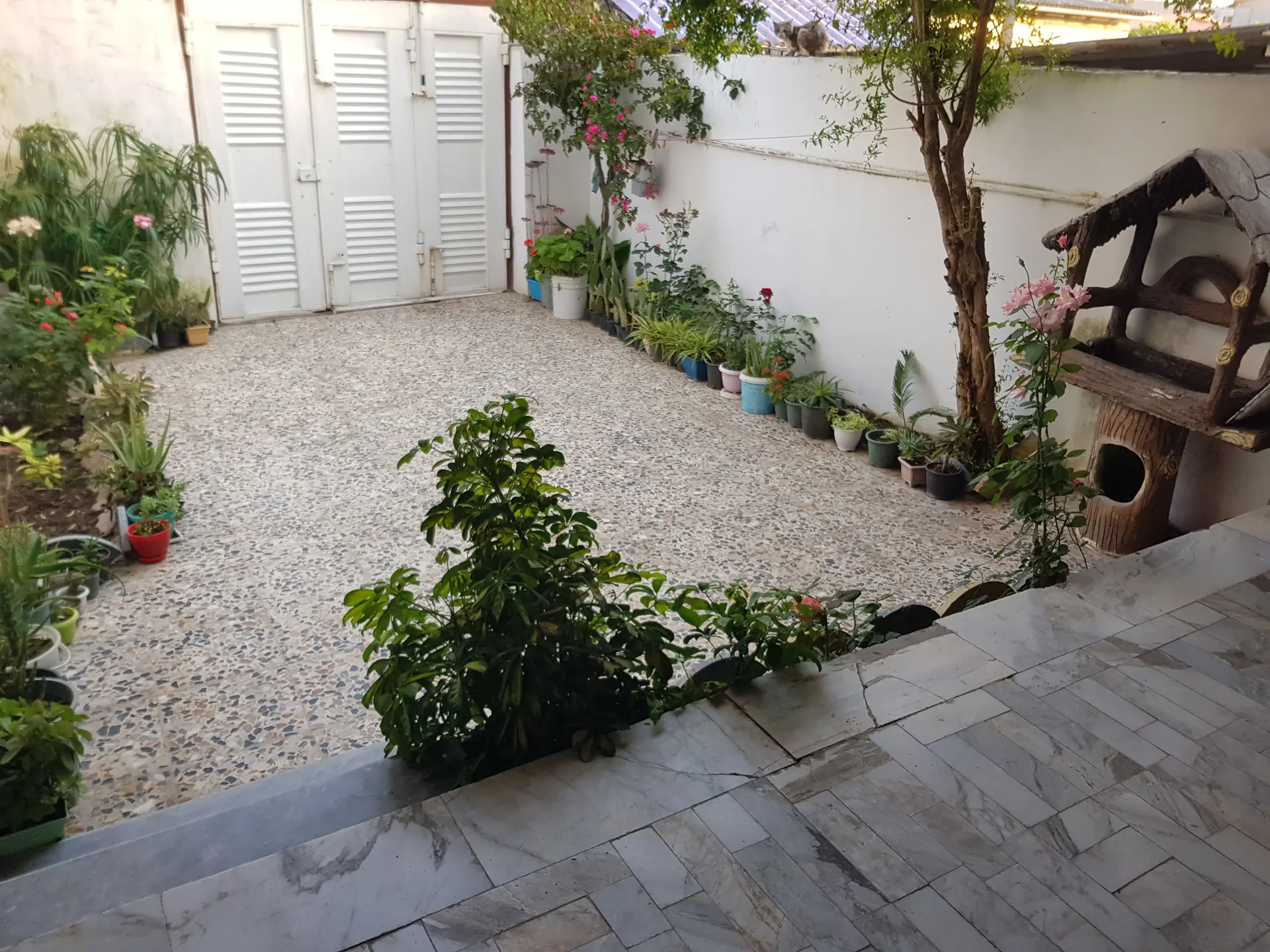 اجاره ویلا ارزان در نور