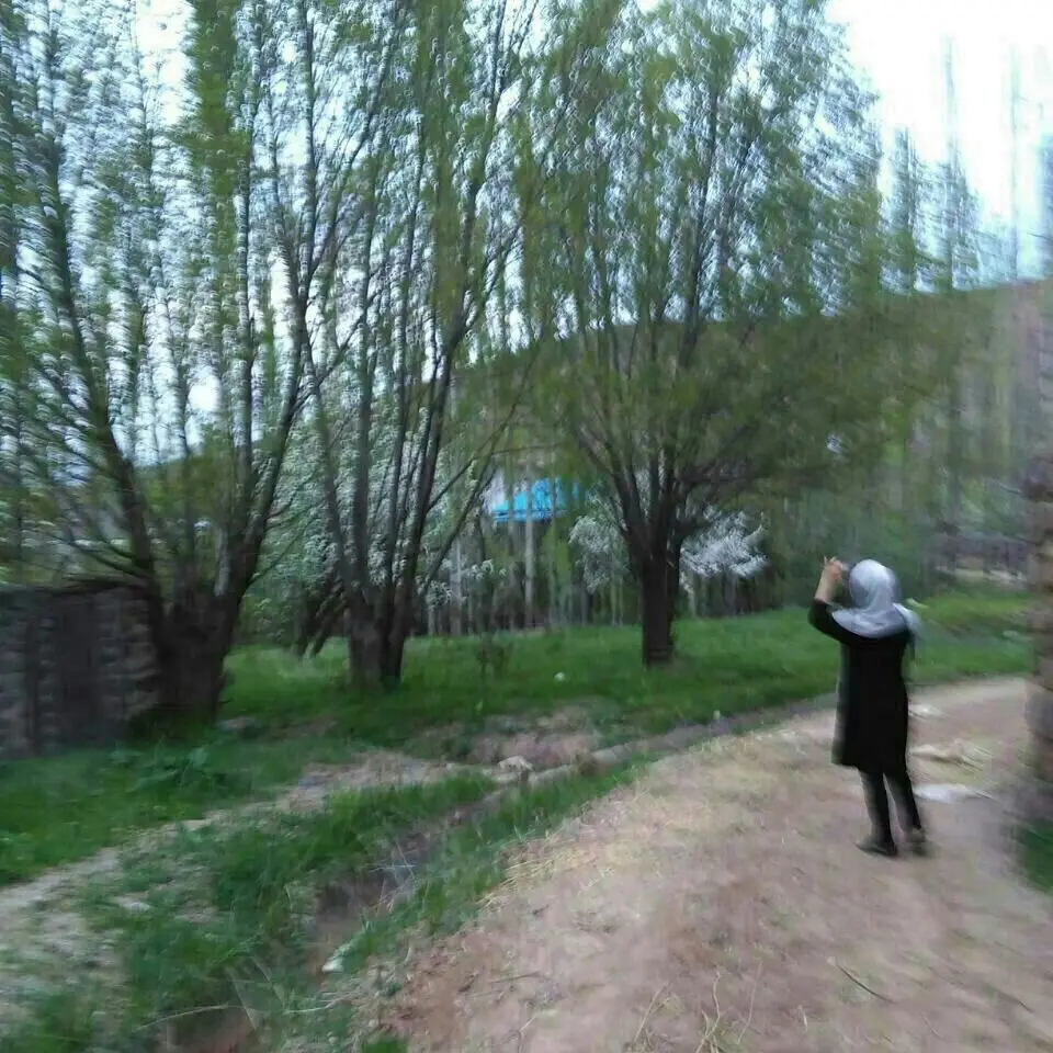 اجاره خانه 2طبقه3خوابه ویلایی در طالقان