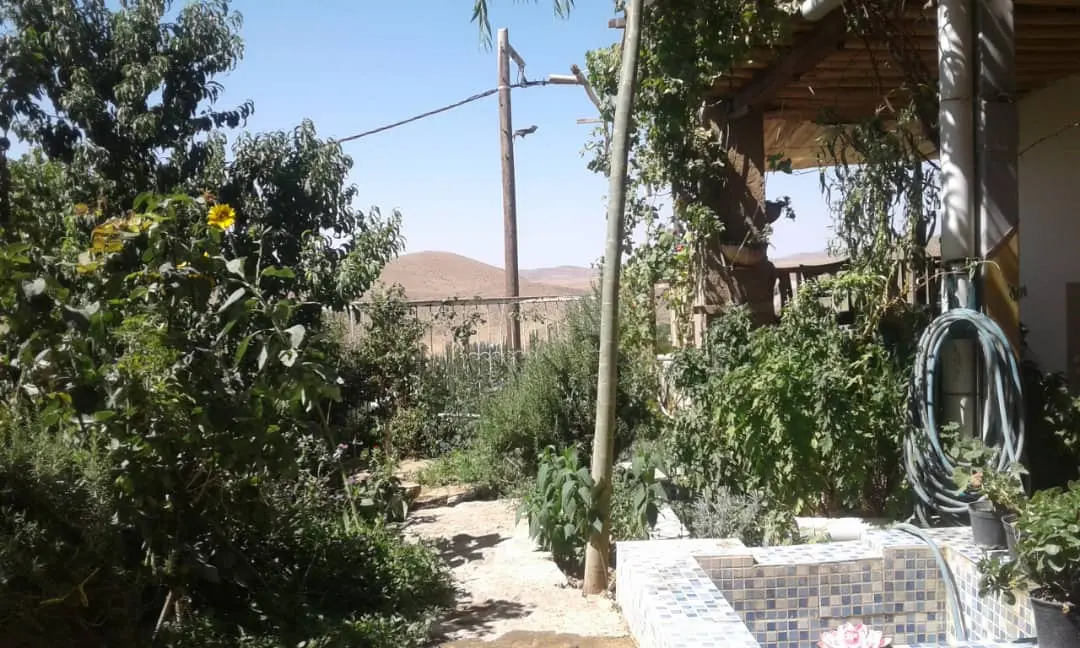 بوم گردی در نطنز