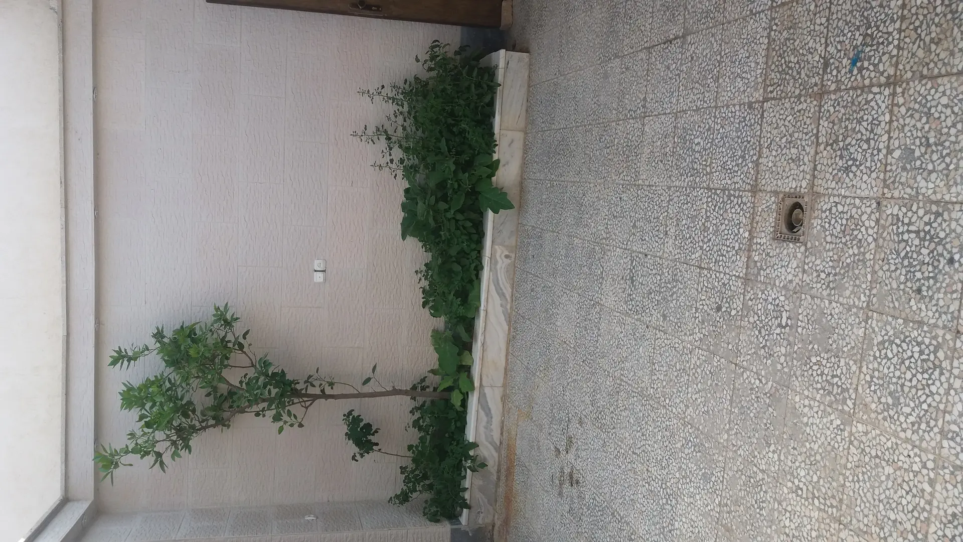 خانه باغ ویلایی دربست