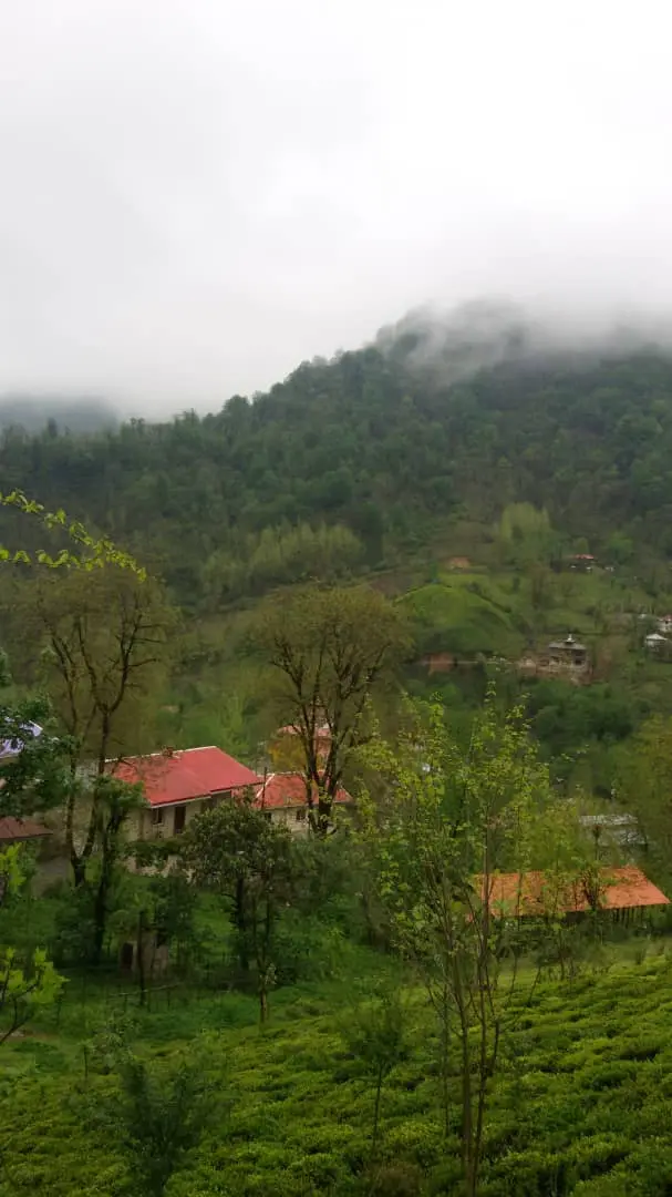 ویلای جنگلی در قلعه رودخان