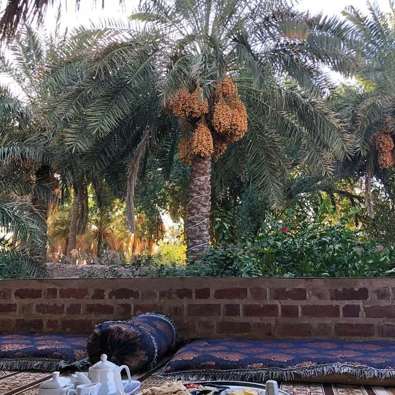 اجاره اقامتگاه بوم گردی ترنج در شهداد