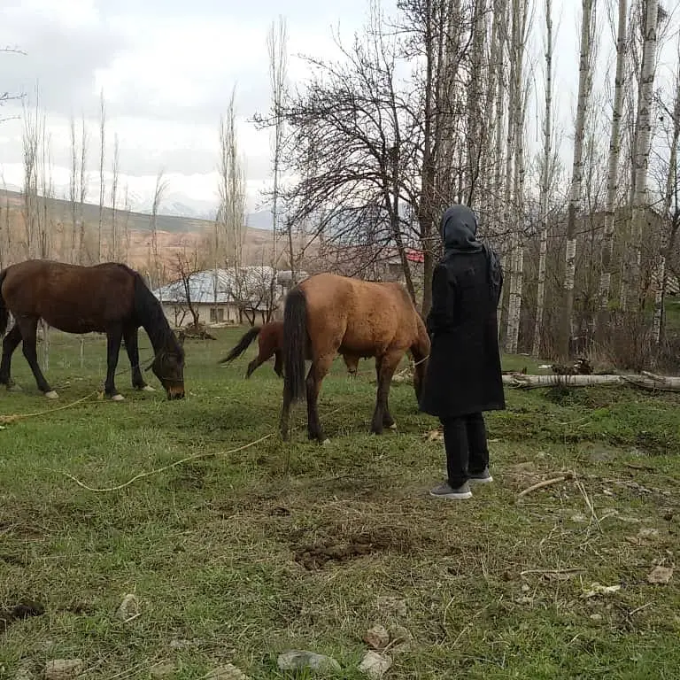 ویلا دوخوابه سنتی طالقان