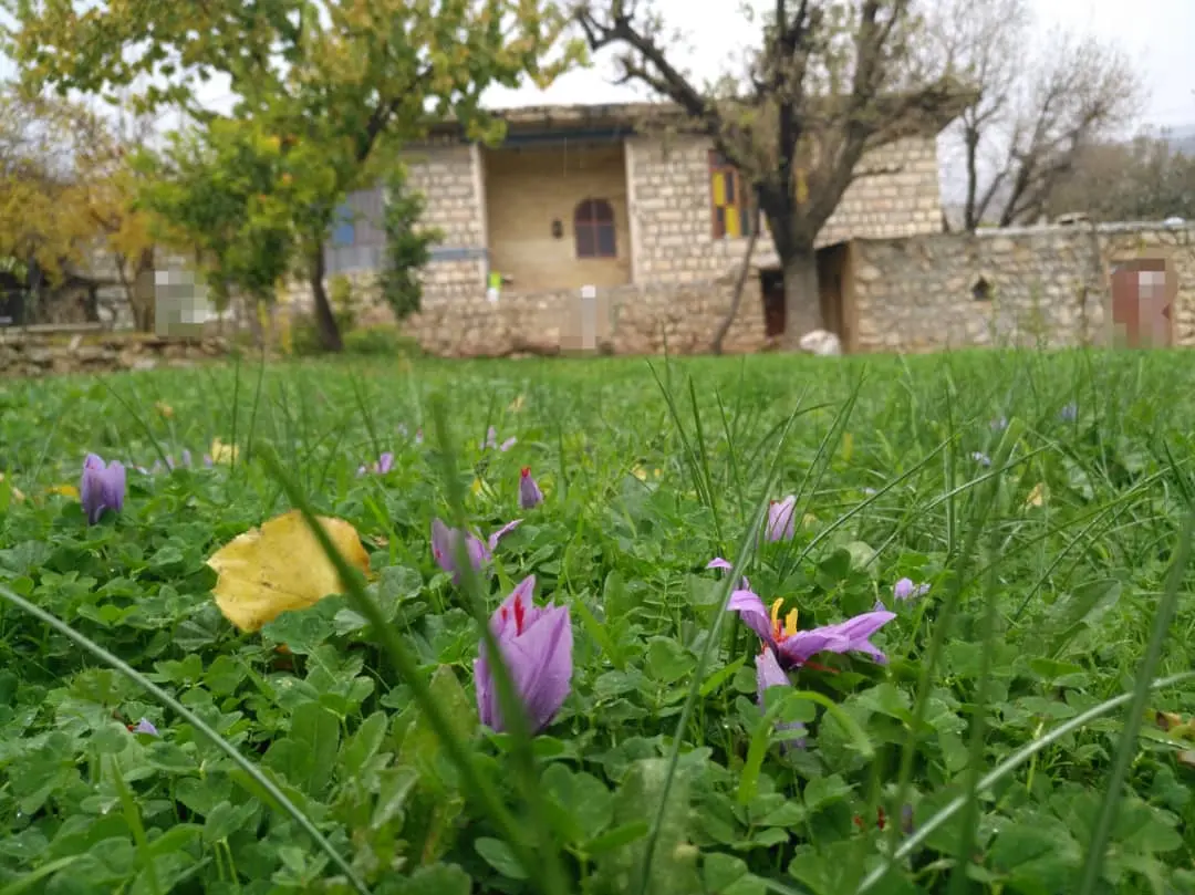 اجاره اقامتگاه بوم گردی قلعه سرد در ایذه