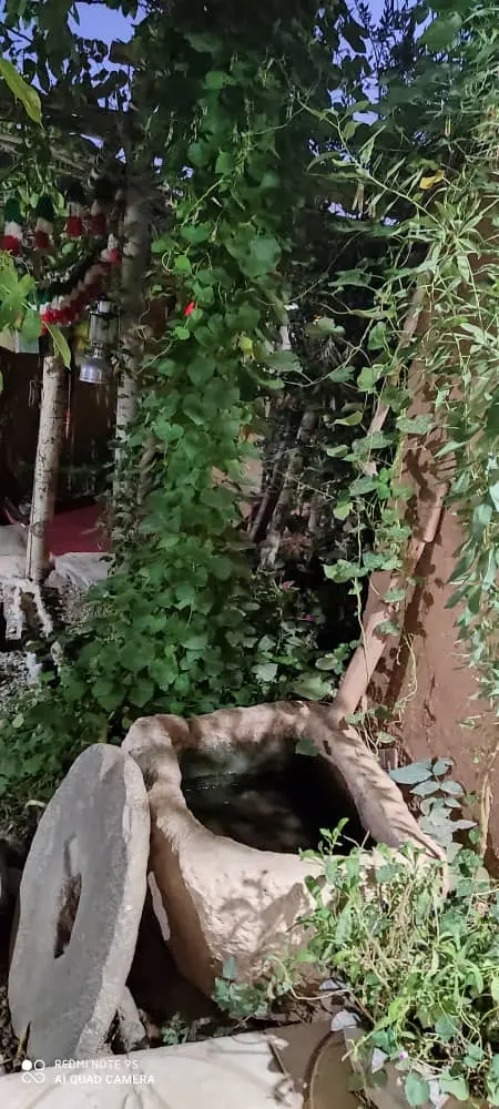 بوم گردی چشمه ناز در سمیرم