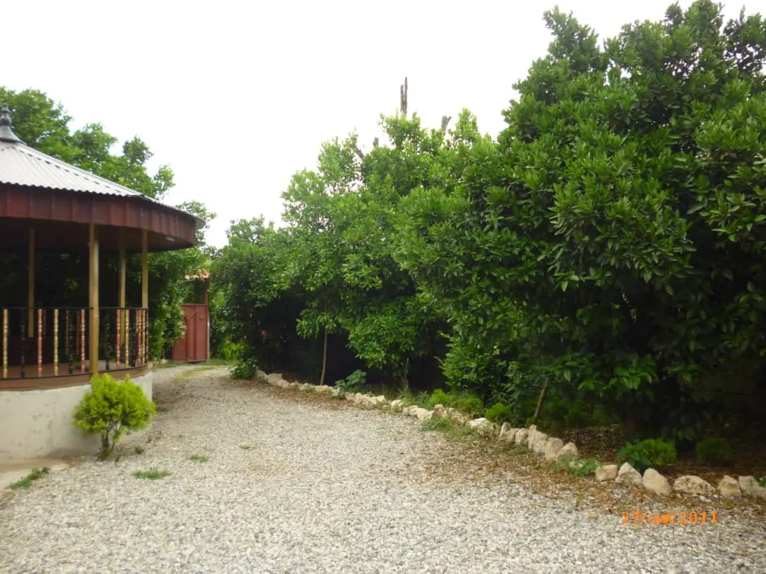 اجاره روزانه ویلای جنگلی در کتالم