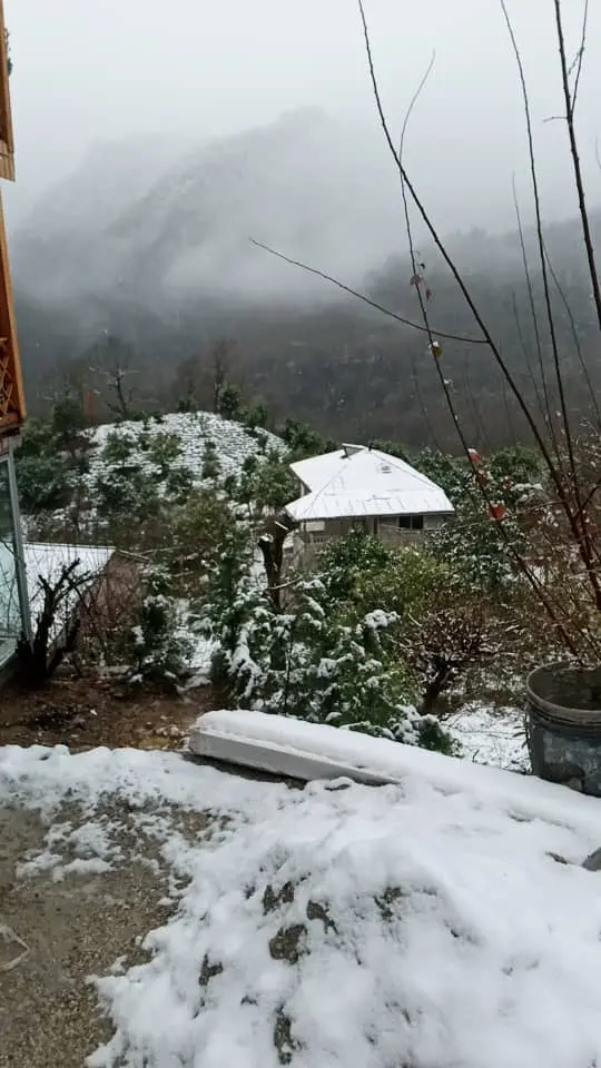 اجاره کلبه چوبی در اربکله رامسر