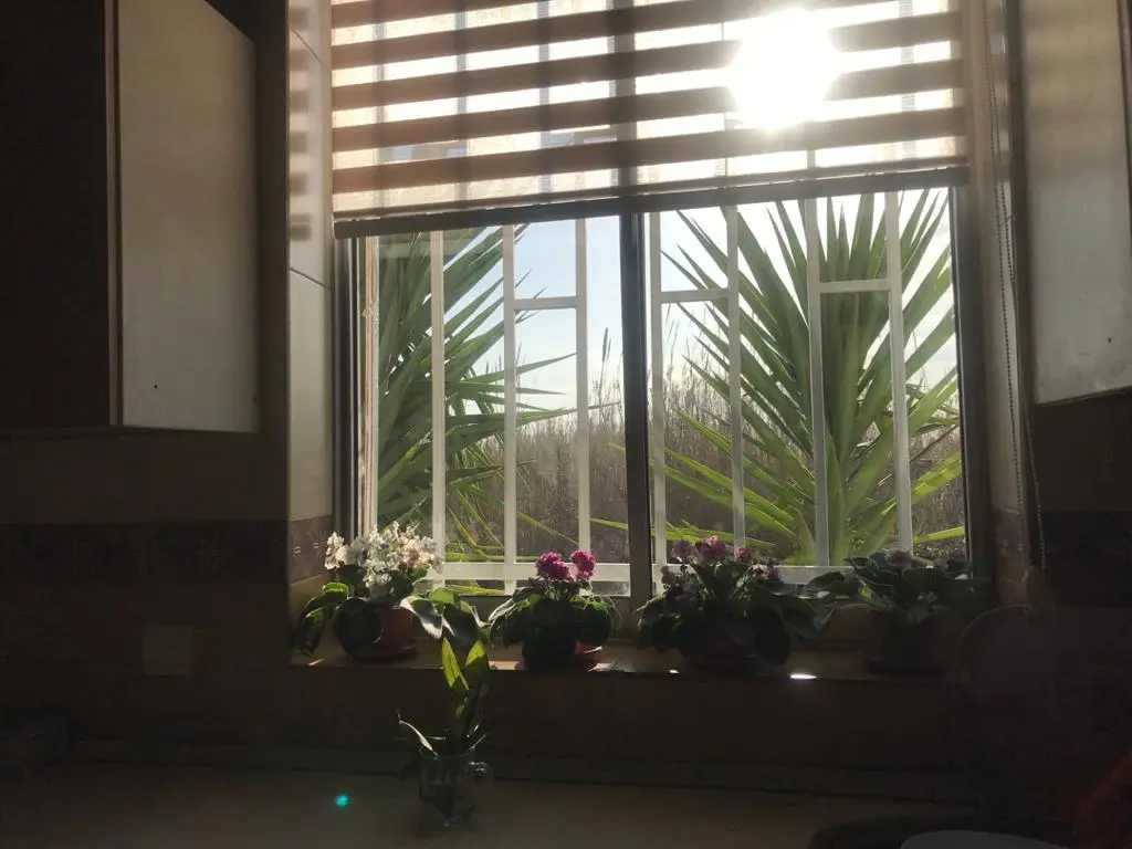 ویلا اجاره ای روزانه در محمود آباد