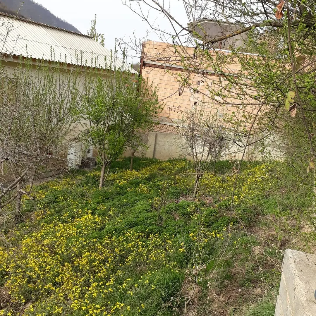 اجاره کلبه در جاده آبشار روستای زیارت