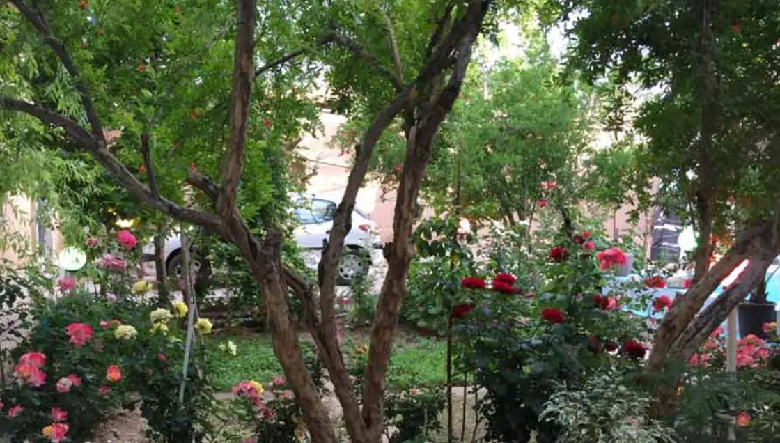 اقامتگاه بوم گردی دربست ماه بوم در ماهان