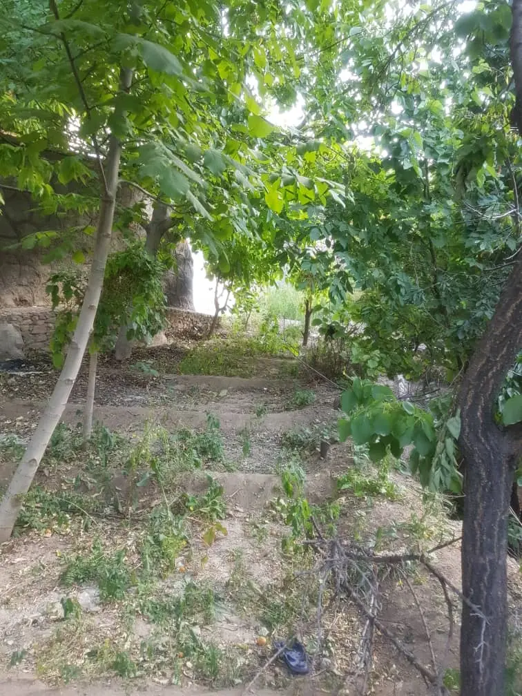 اجاره روزانه ویلا در ده بالا