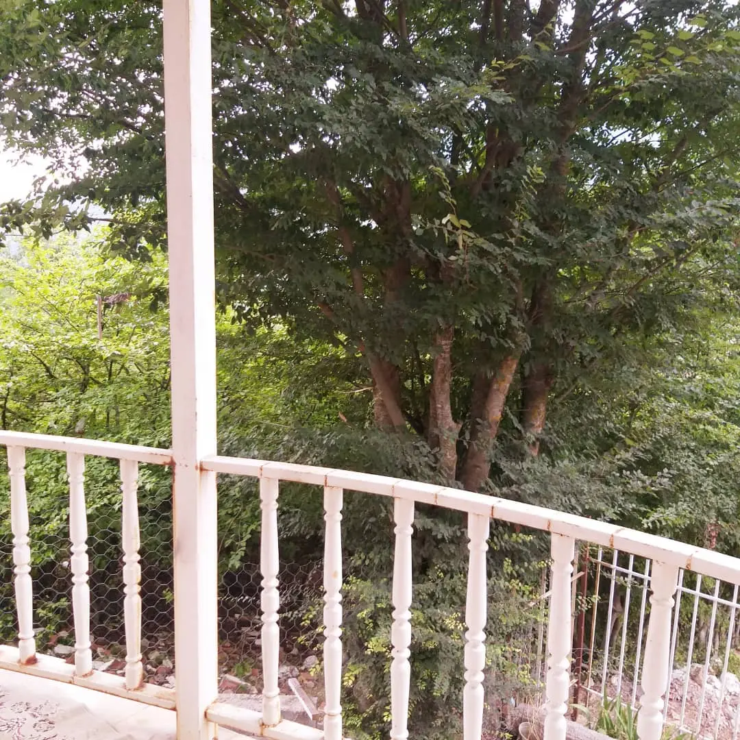 اجاره روزانه ویلا جنگلی در روستای لوکال چلی
