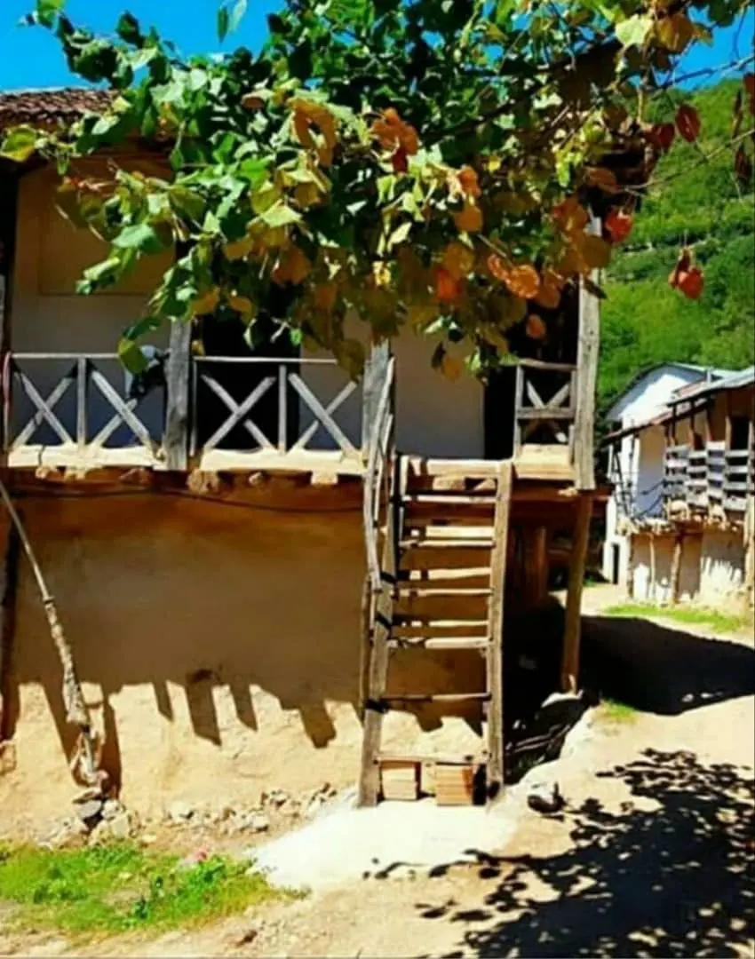 اجاره روزانه ویلا جنگلی در روستای لوکال چلی