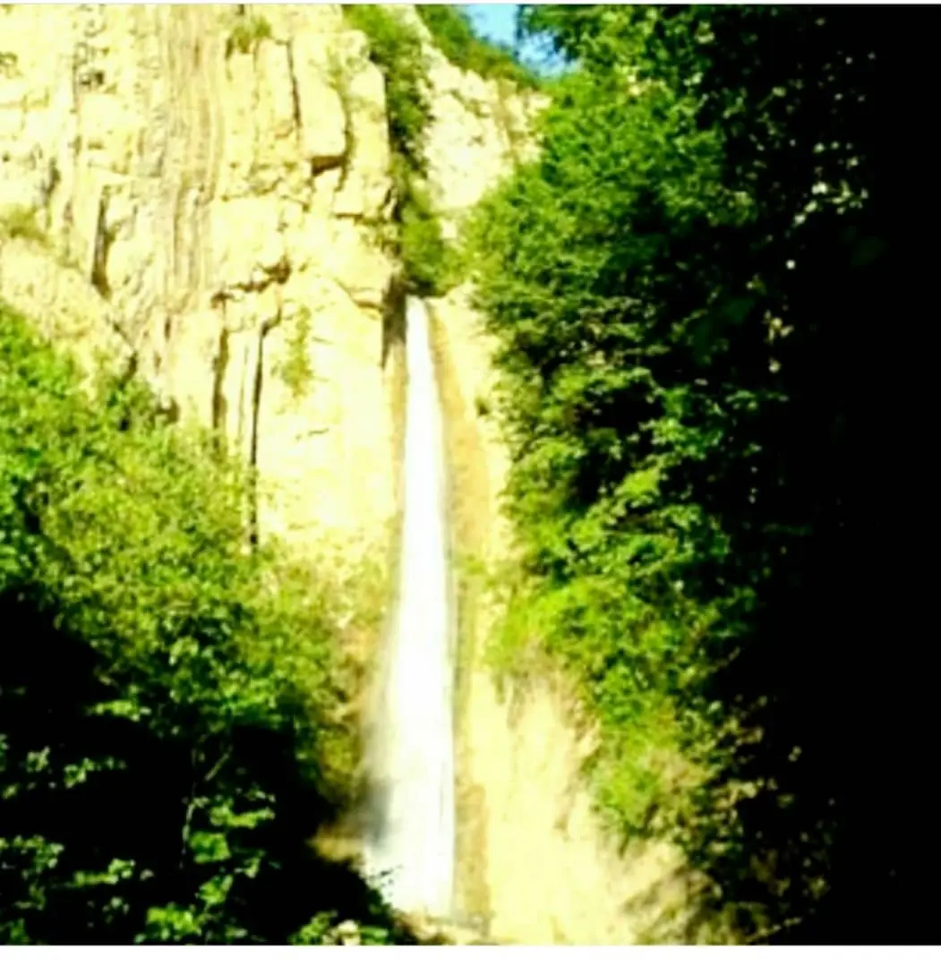 اجاره روزانه ویلا جنگلی در روستای لوکال چلی