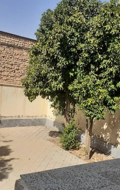 اجاره سوئیت در شیراز روزانه