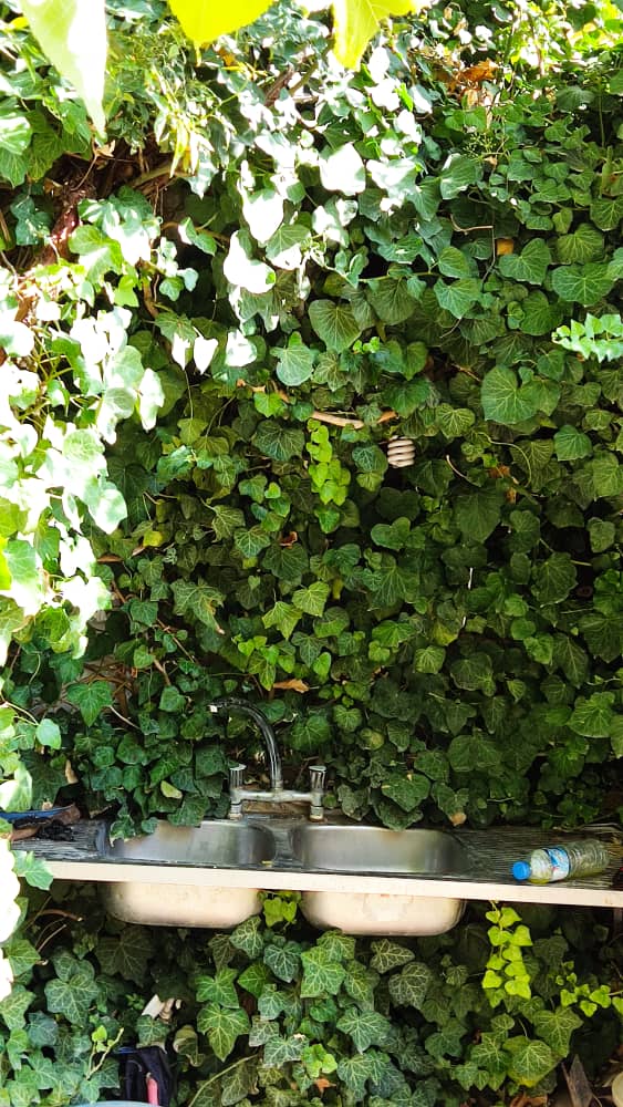 خانه روستایی در مارگون