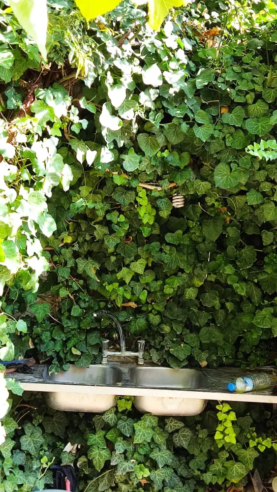 اجاره خانه روستایی در مارگون فارس