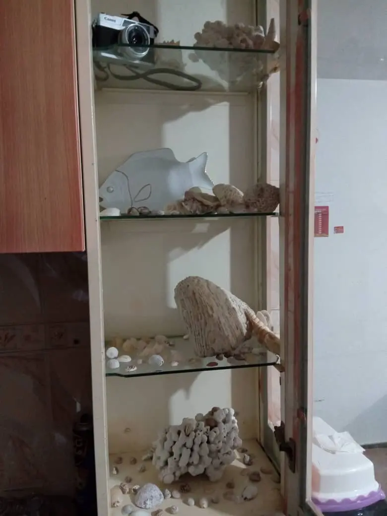 خانه مبله بهمنی بوشهر
