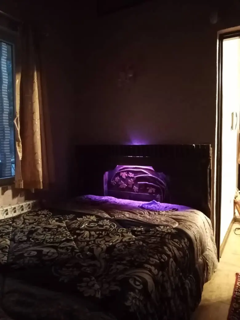 رزرو کلبه جنگلی شمال لاهو