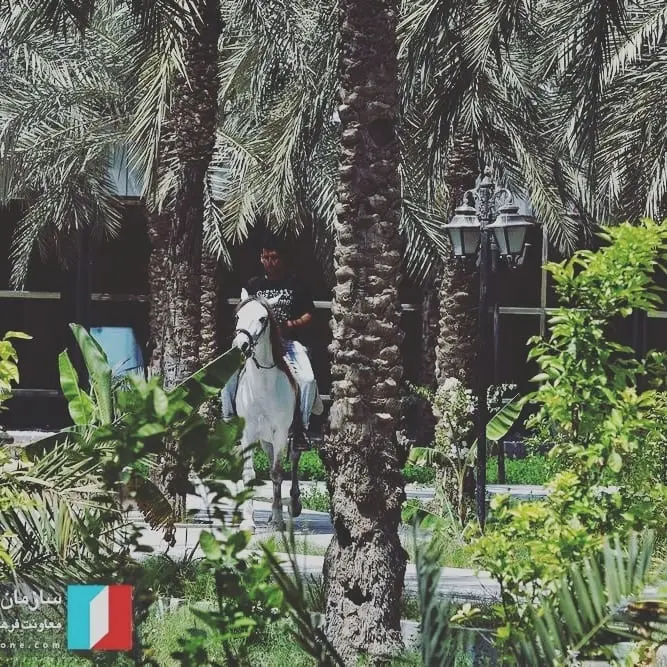سوئیت 104 باغ طالبی آبادان