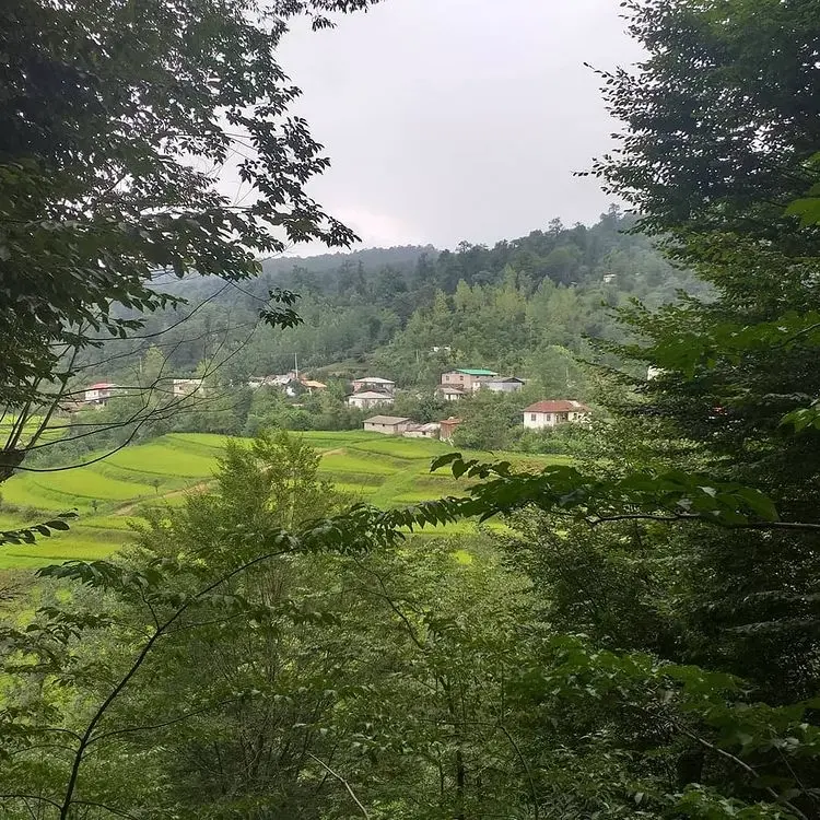 کلبه باغ در سواد کوه شمالی
