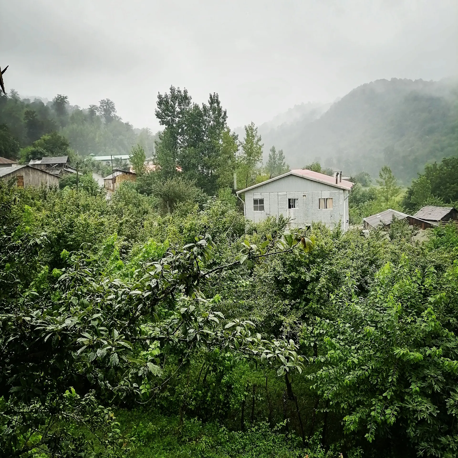 کلبه باغ در سواد کوه شمالی