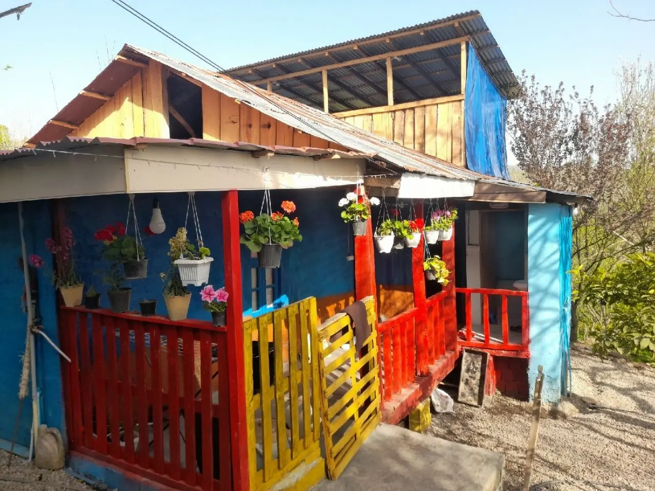 رزرو کلبه در بابل