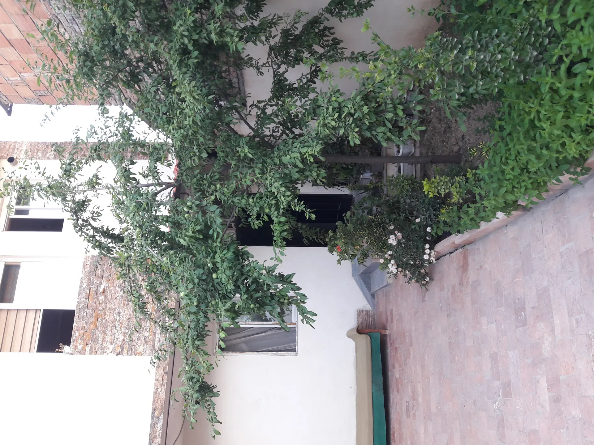 سوئیت در ساری