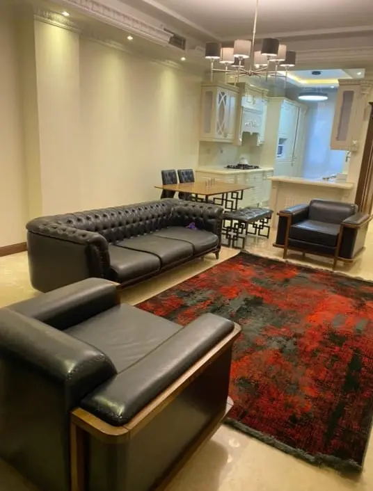 اجاره آپارتمان مبله تکخواب لوکس در الهیه