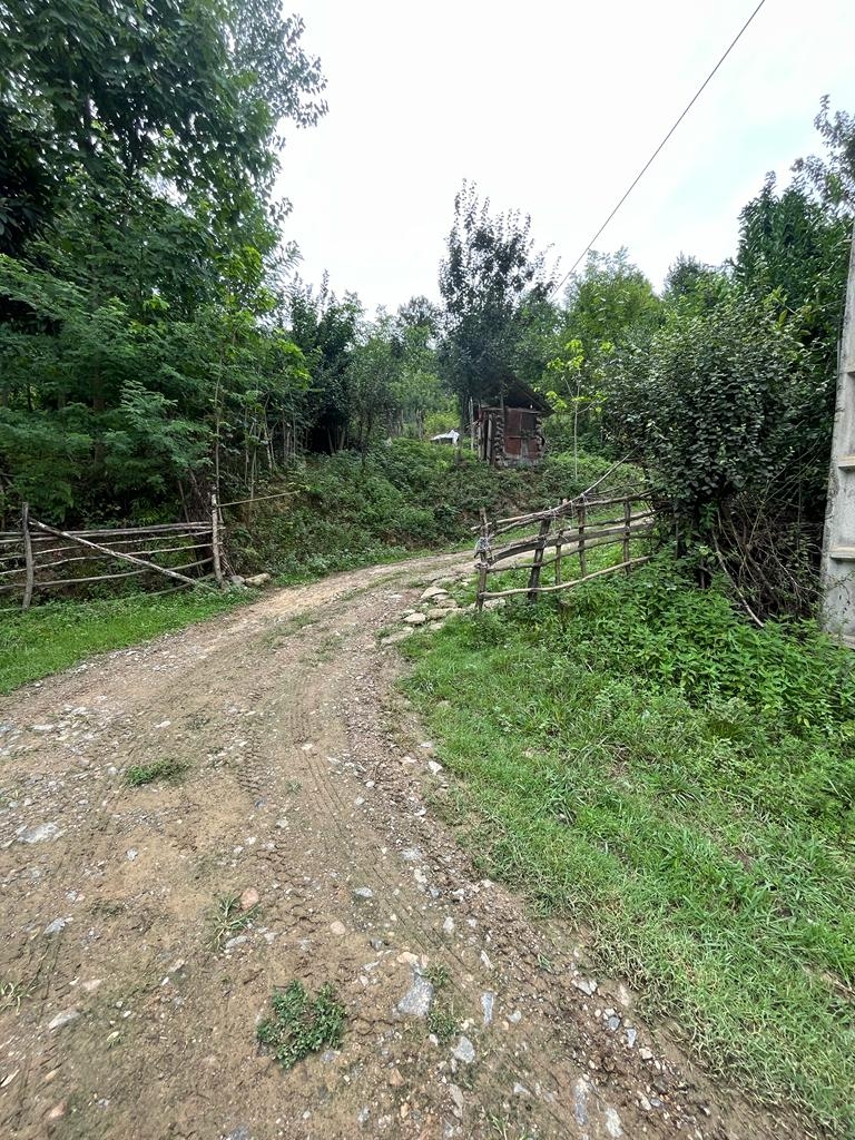 کلبه بومگردی دوبلکس چوبی بهاردخت