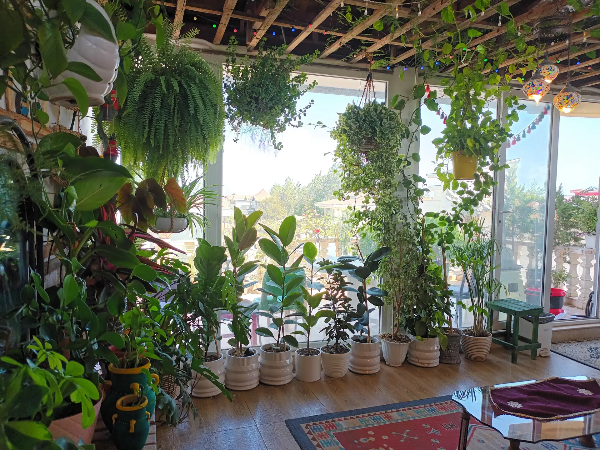 اجاره روزانه ویلای تریبلکس ساحلی چمخاله
