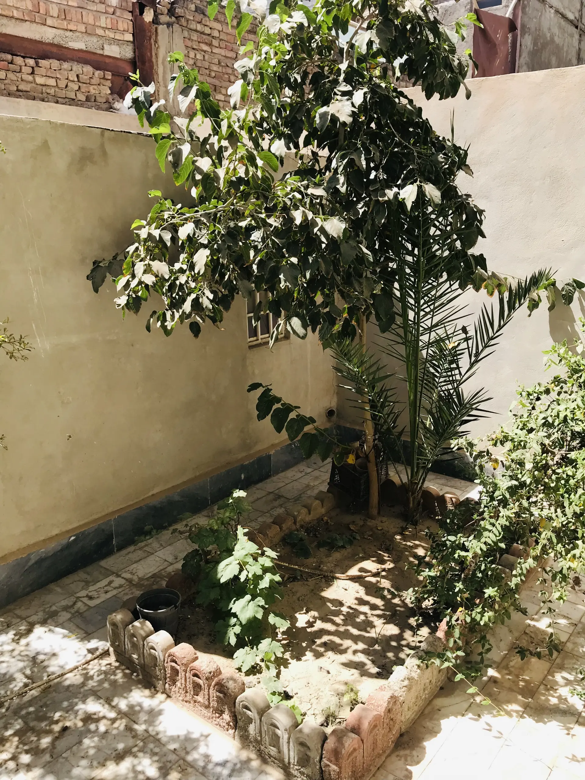 اجاره روزانه منزل ویلایی در زاهدان