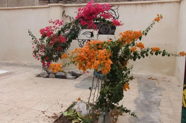 اقامتگاه بوم گردی رنگین کمان هرمز