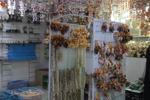 اقامتگاه بوم گردی علیشاهی قشم