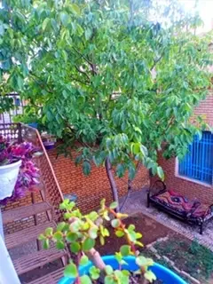 رزرو ویلا باغ در مهدیشهر