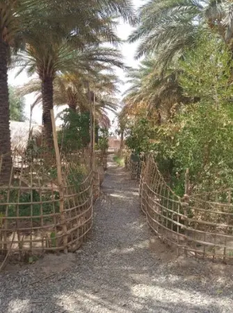 اقامتگاه بوم گردی نخلستان کویر در شهداد