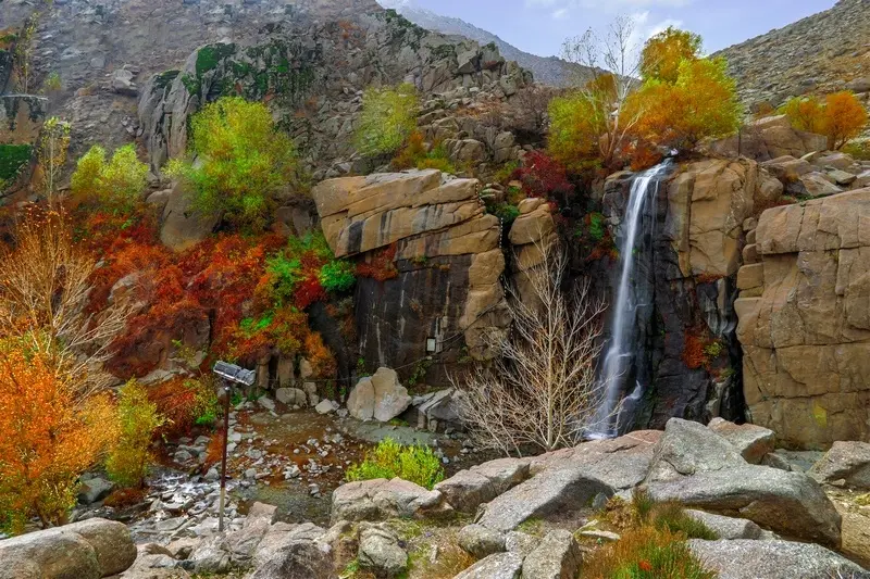 سوئیت های اقامتی گنجنامه (معمولی)