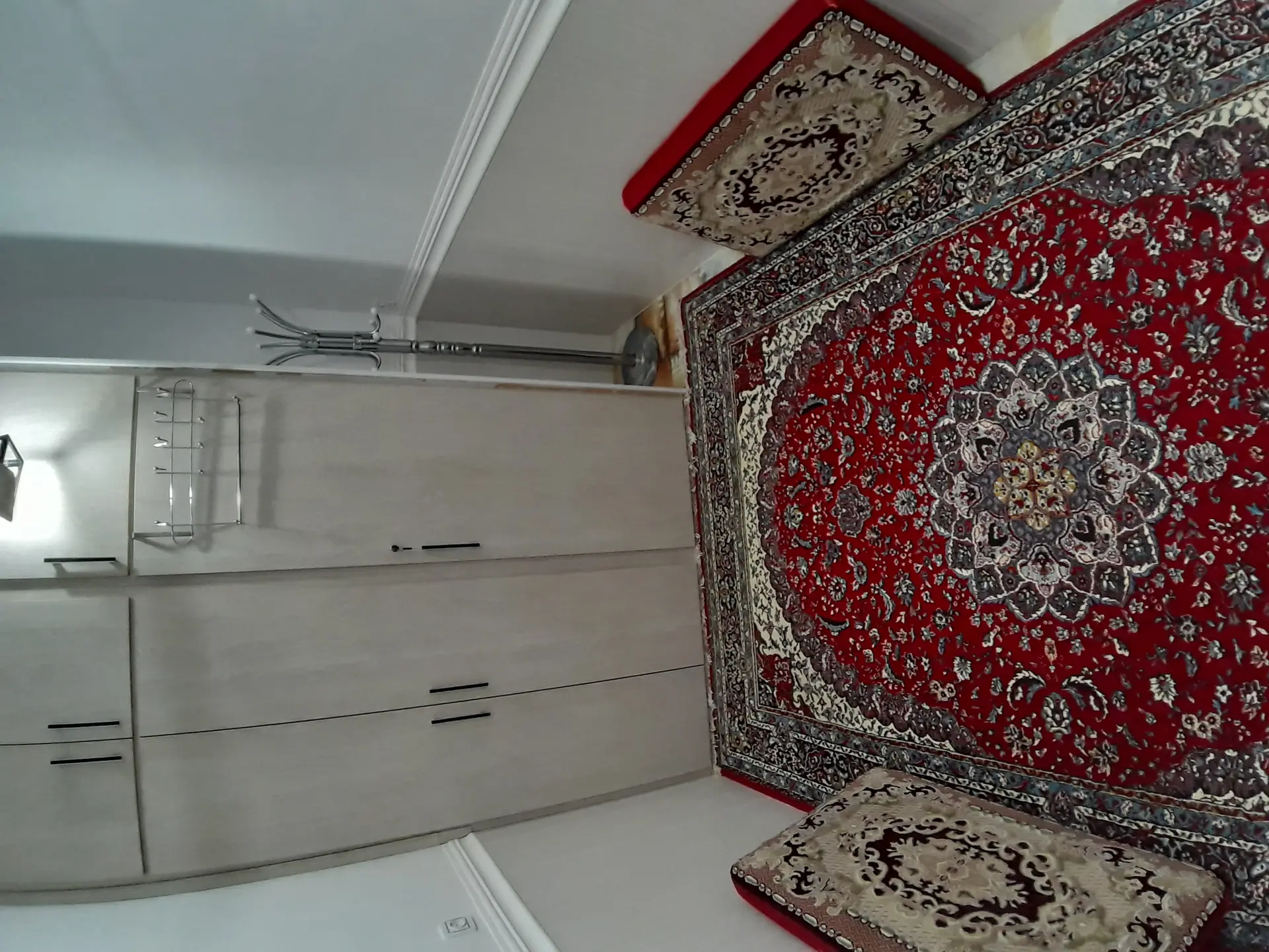 دوگ دلارام سوئیت دریا