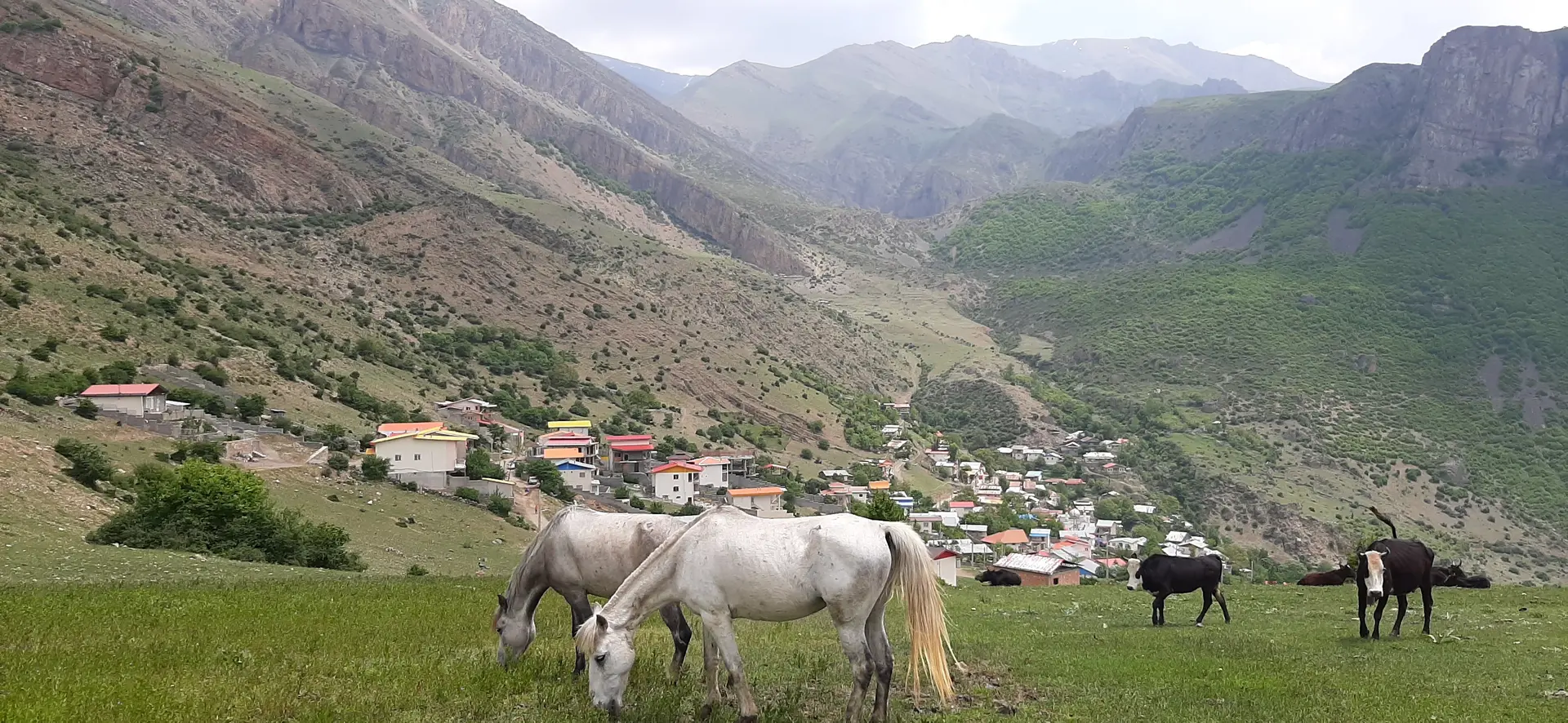 سوئیت اجاره ای جاده چالوس