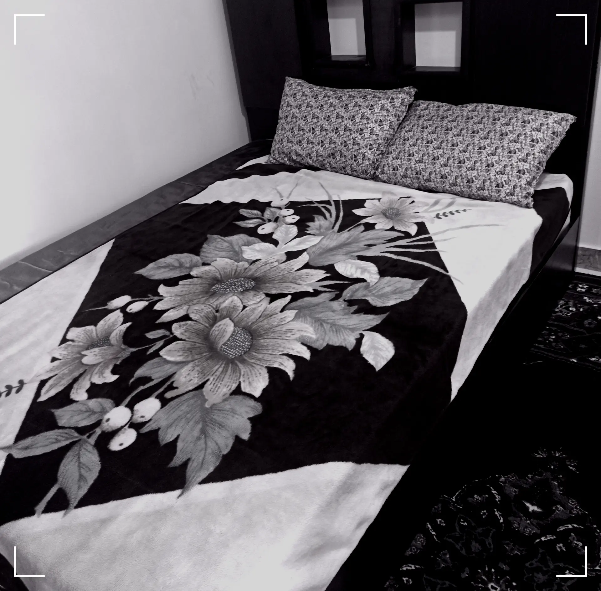 سوئیت روزانه  در کرمانشاه