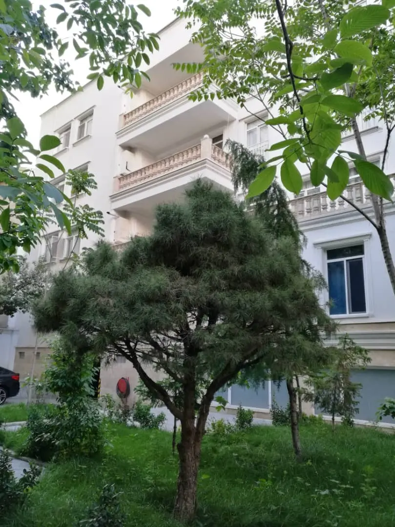 واحد مبله فول امکانات استخردار