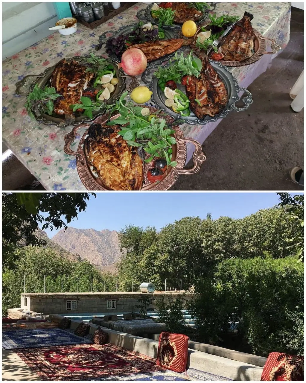 اجاره منزل تک خوابه در پاوه