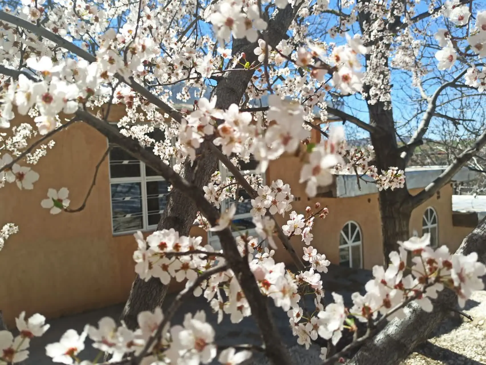 باغ ویلایی بهشت سپیدان سربست
