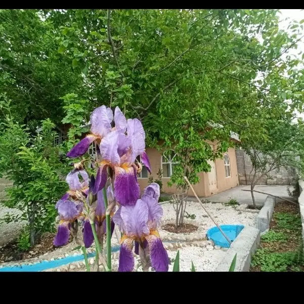 باغ ویلایی بهشت سپیدان سربست