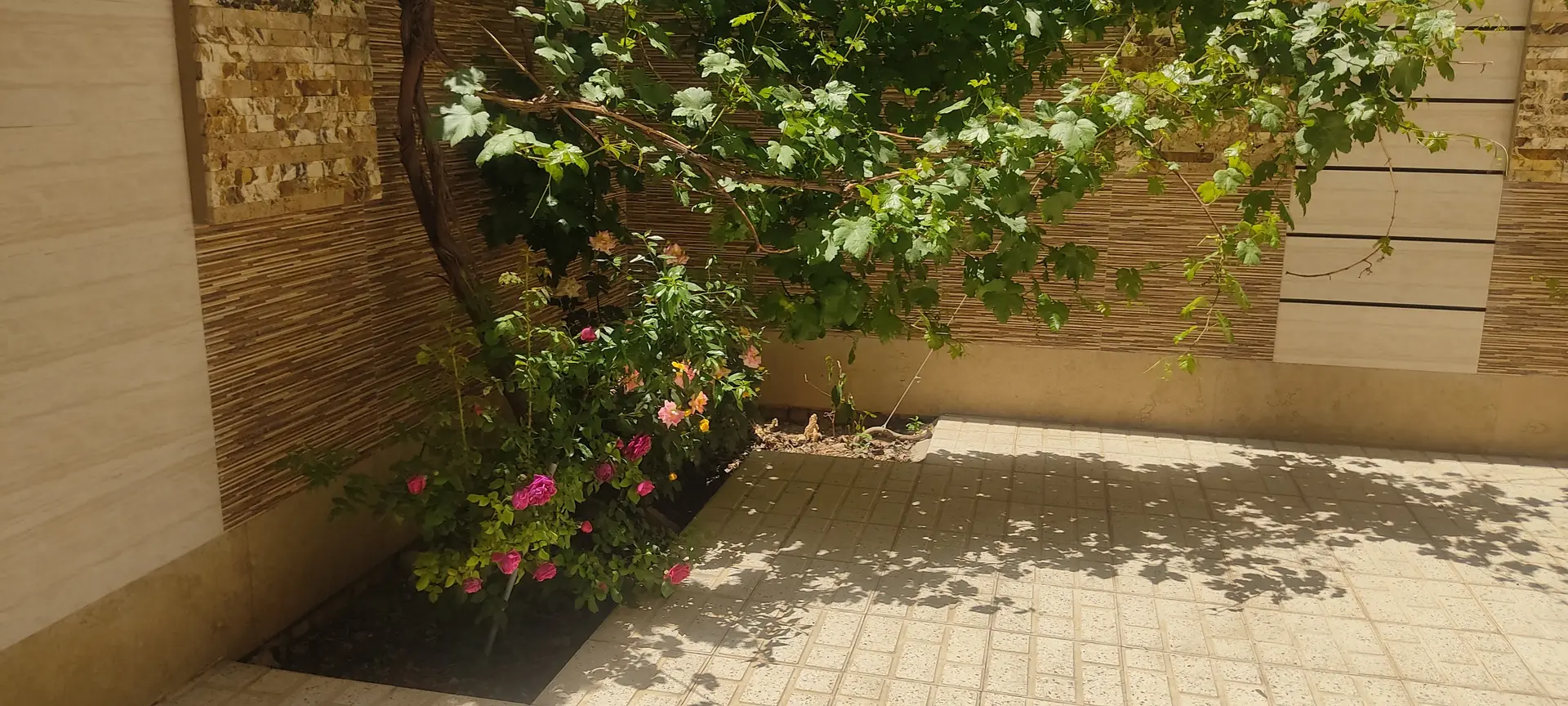 آپارتمان شیک حیاط دار بام ایران