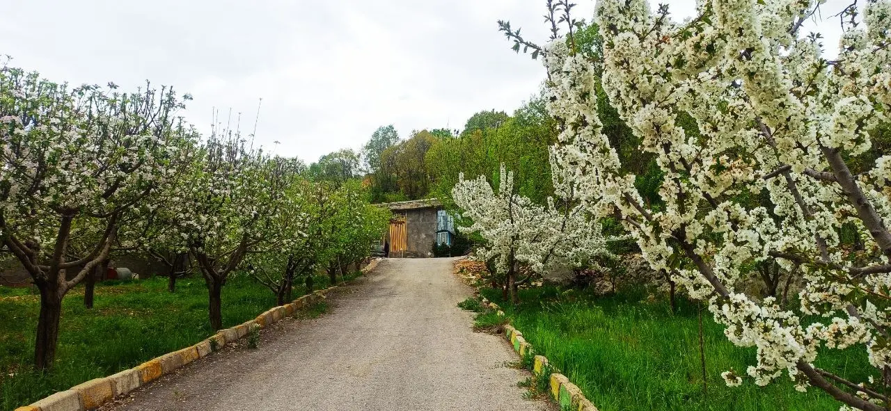 خانه باغ روزانه یاسوج