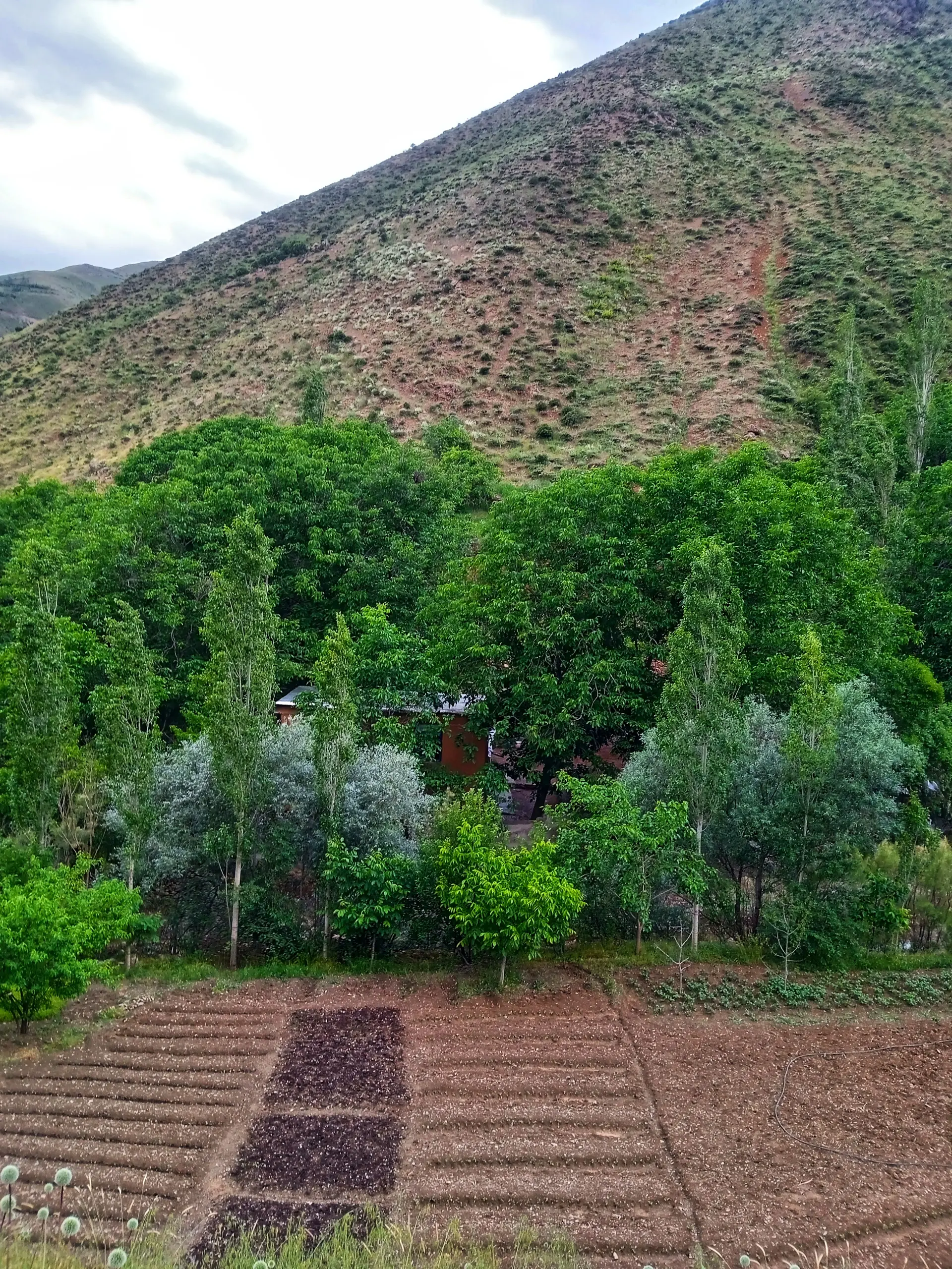 اقامتگاه بومگردی گلاویژ 1
