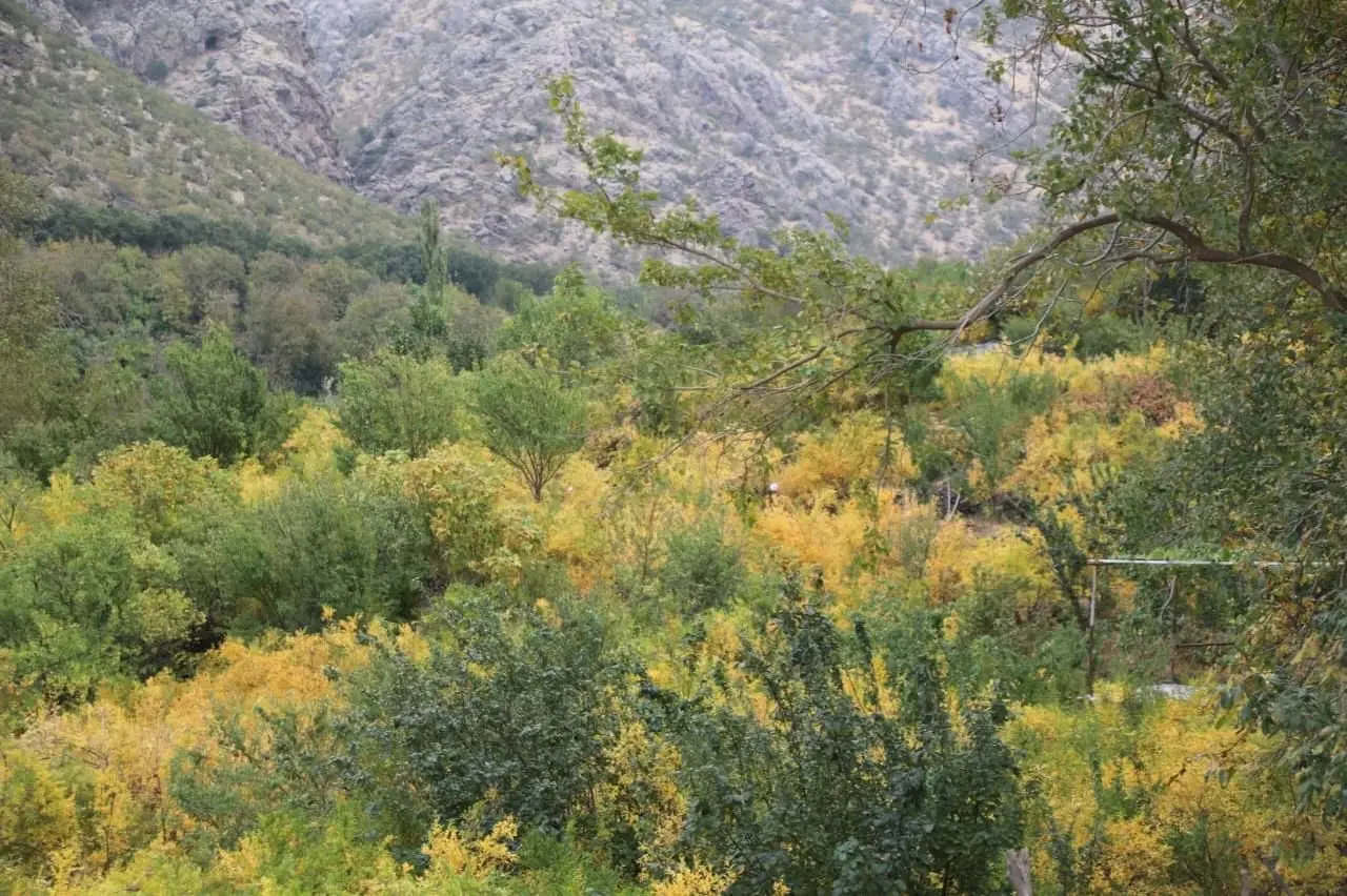 اقامتگاه کارزان با پارکینگ اختصاصی پاوه داریان