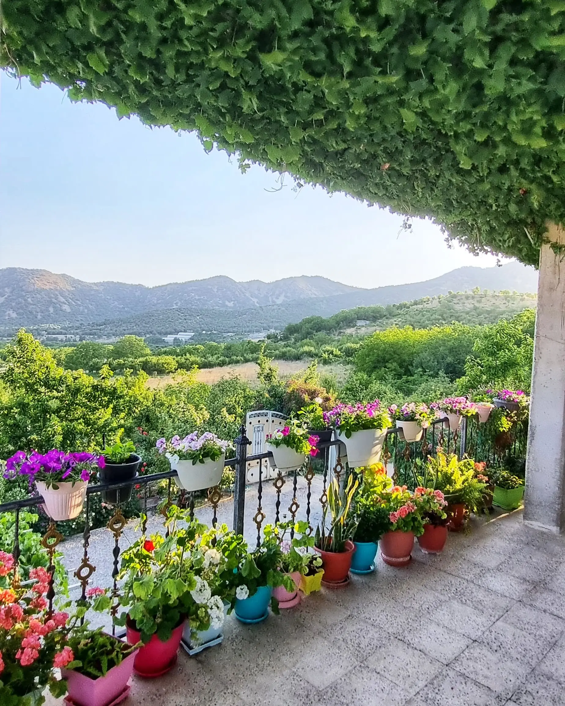 باغ ویلا اجاره ای زاگرس